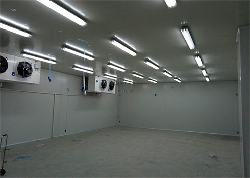 生物醫(yī)藥冷庫建造安裝費(fèi)用
