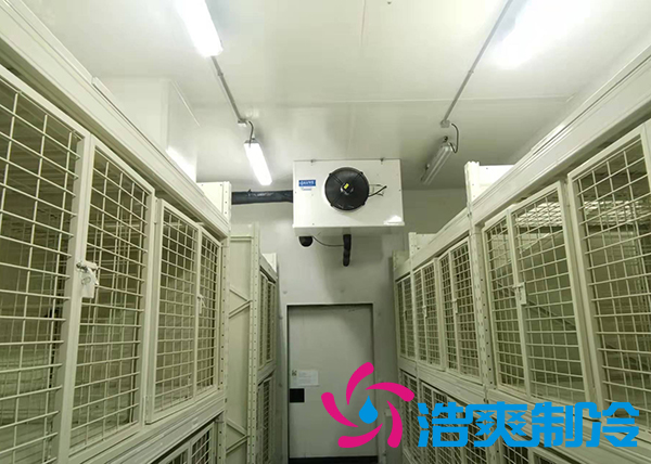 建造-30~-80℃超低溫血漿蛋白冷凍庫需要花費多少價格？