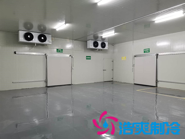 建造6000m3醫(yī)藥冷藏庫安裝造價需要投資多少費(fèi)用？