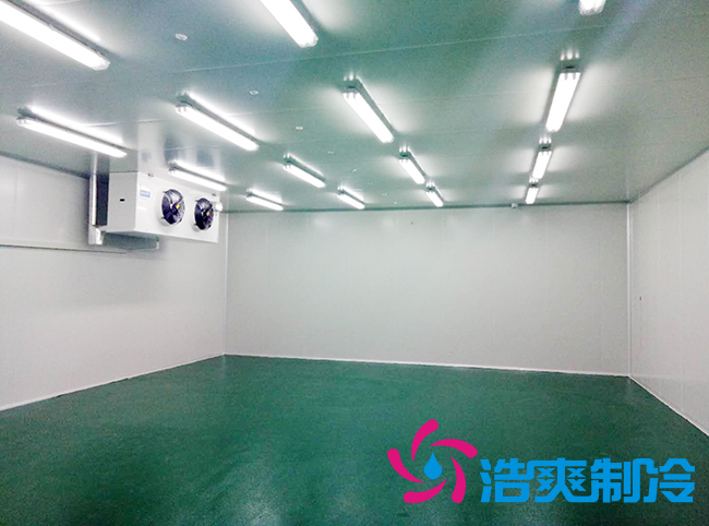  藥品冷庫安裝方案及設(shè)計標(biāo)準