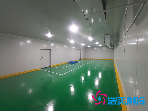 醫(yī)藥化工制冷工廠建造一個(gè)藥品冷庫要多少錢？-浩爽制冷