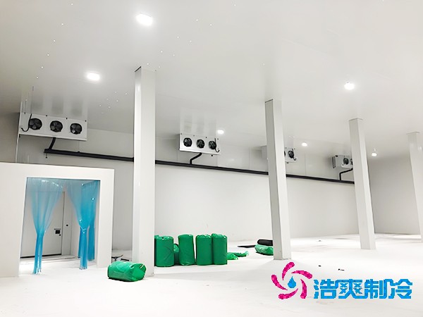 醫(yī)藥冷凍庫(kù)的安裝特性有哪些？