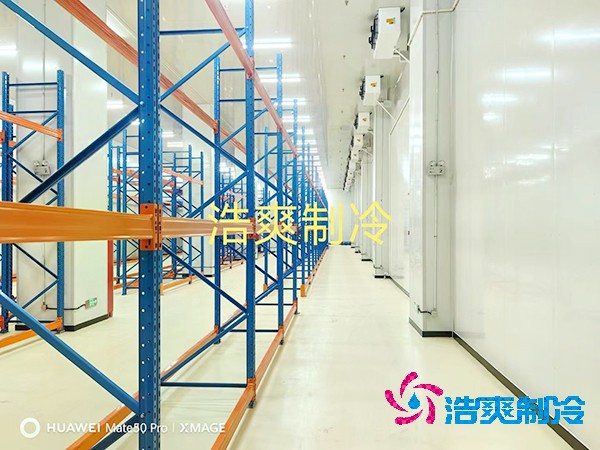  300m3血漿試劑冷藏庫的建造如何選擇制冷設(shè)備？
