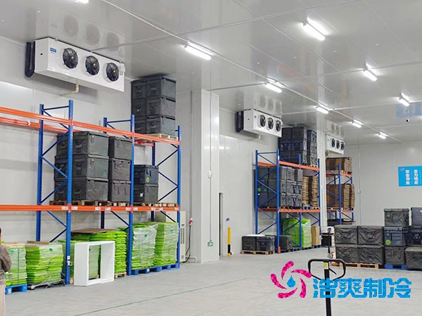  智能醫(yī)藥冷庫安裝方案與造價(jià)概覽