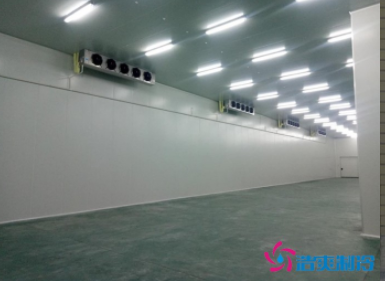  300立方社區(qū)衛(wèi)生中心冷藏庫建造費用造價是多少？
